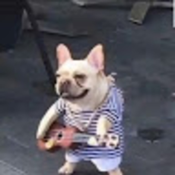 Meet your Posher, Aidan - Picture 1 of 1